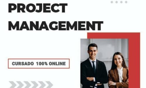 Diplomatura Universitaria en Project Management